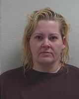 Warrant photo of SHEILA LYNN HICKS