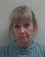 Warrant photo of BETH ANNE INSCHO