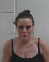Warrant photo of DANIELLE LOUISE HERGES